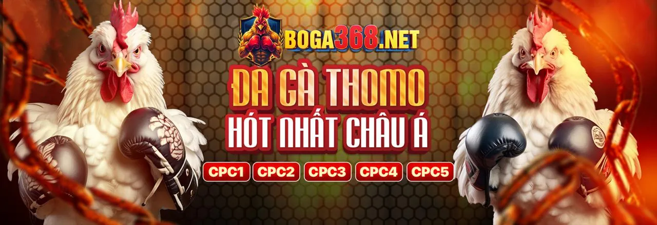 Hình ảnh quảng cáo các chương trình khuyến mãi mới nhất của 89bet01